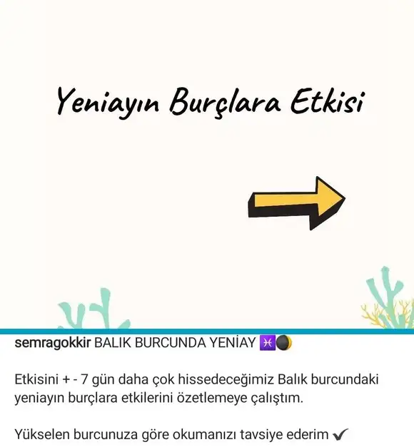 balık yeniayı 12 (1).webp