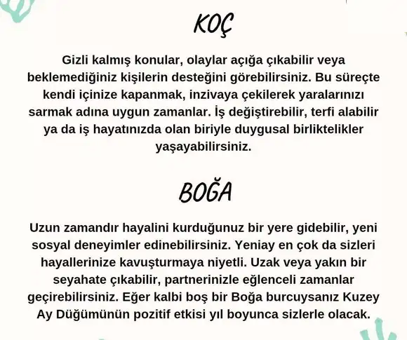 balık yeniayı 12 (2).webp