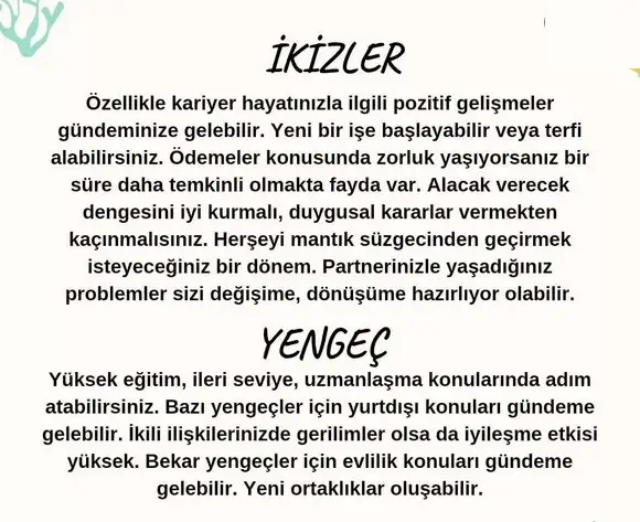 balık yeniayı 12 (3).webp