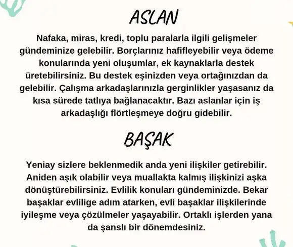 balık yeniayı 12 (4).webp