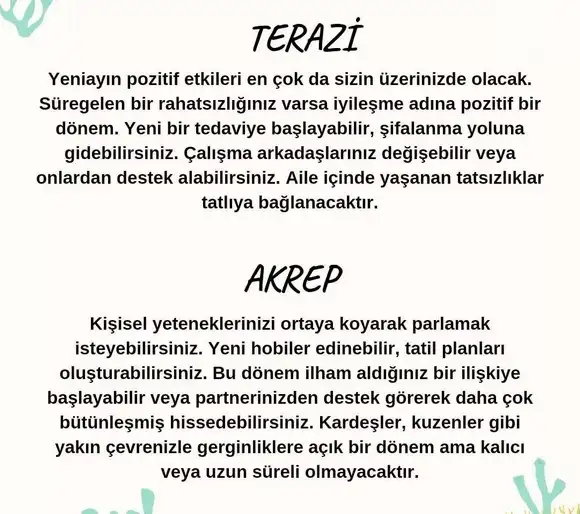 balık yeniayı 12 (5).webp
