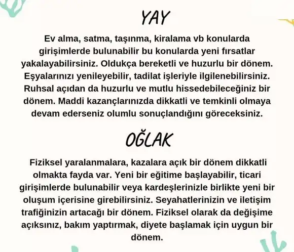 balık yeniayı 12 (6).webp