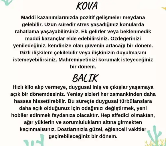 balık yeniayı 12 (7).webp