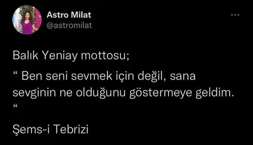 balık yeniayı 14.webp