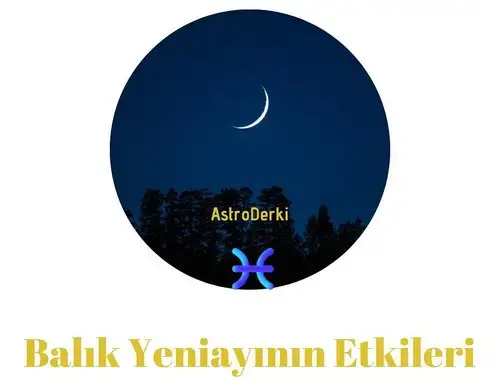 balık yeniayı 15 (1).webp