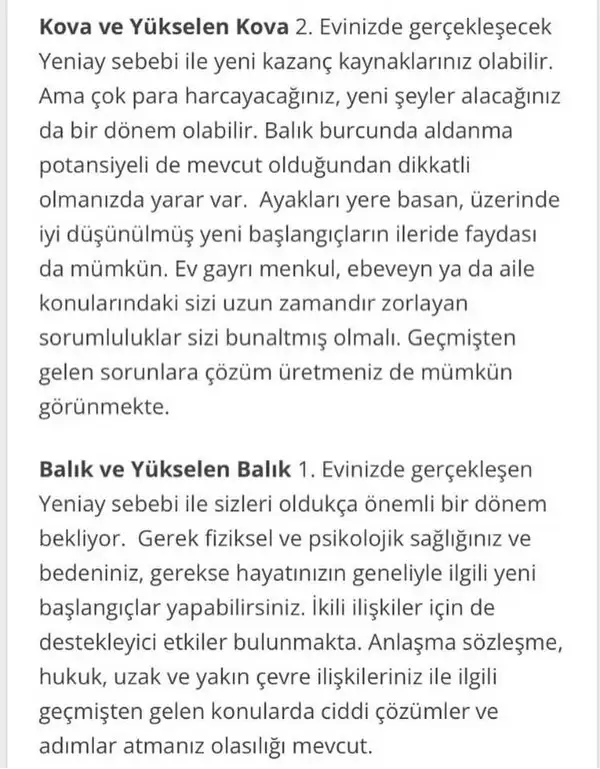 balık yeniayı 15 (10).webp