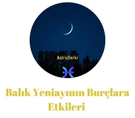 balık yeniayı 15 (3).webp