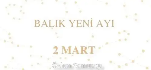 balık yeniayı 16 (1).jpg