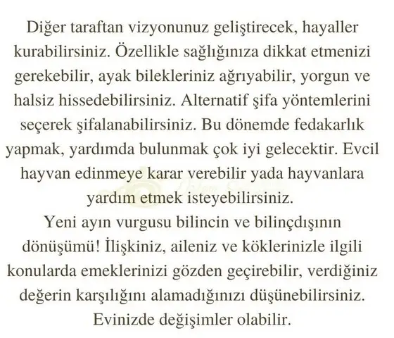 balık yeniayı 16 (16).jpg