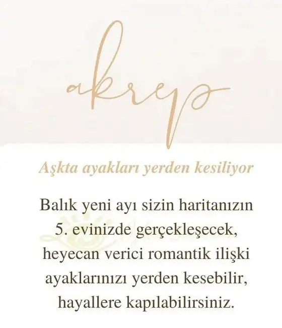 balık yeniayı 16 (17).jpg