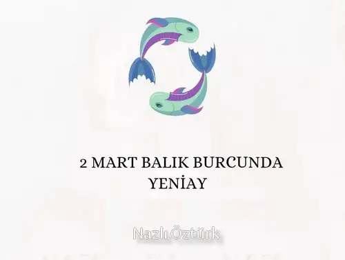 balık yeniayı 17 (1).webp