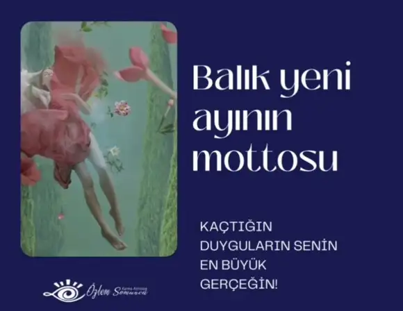 balık yeniayı 17 (1).webp