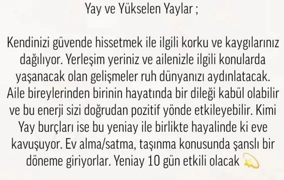 balık yeniayı 17 (10).webp