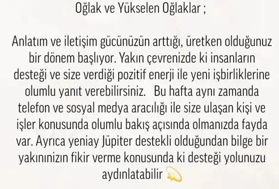 balık yeniayı 17 (11).webp