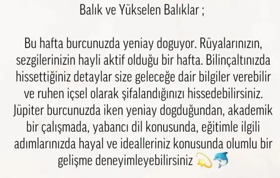 balık yeniayı 17 (13).webp