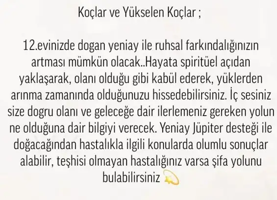 balık yeniayı 17 (2).webp