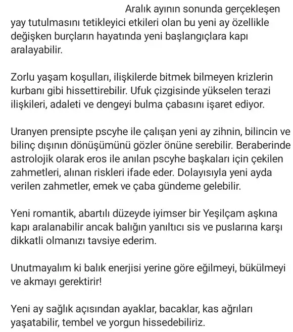 balık yeniayı 17 (2).webp