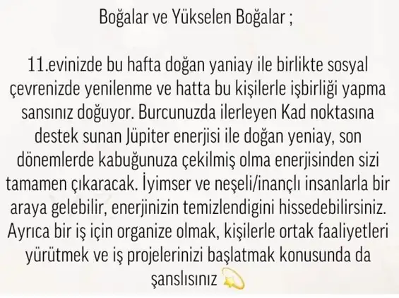 balık yeniayı 17 (3).webp