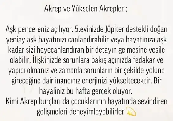 balık yeniayı 17 (9).webp