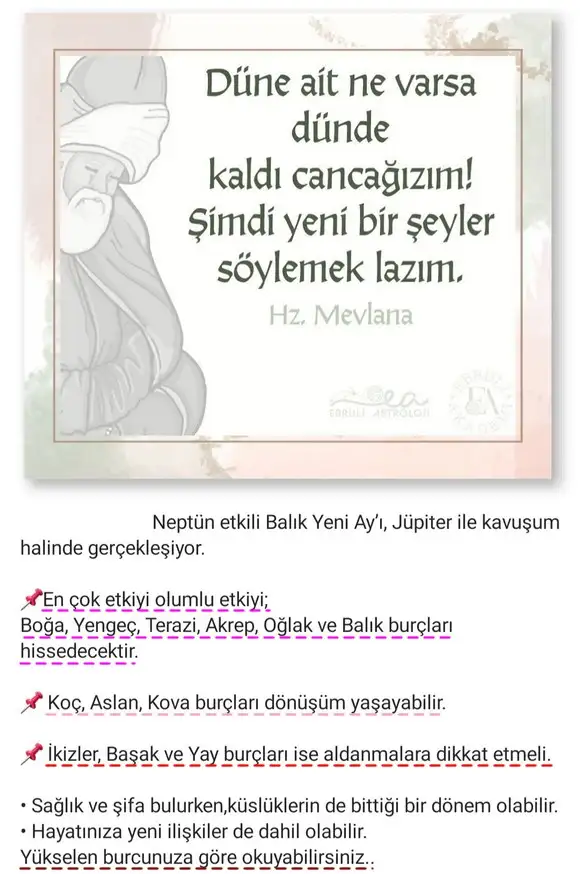 balık yeniayı 18.webp