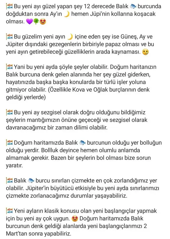 balık yeniayı 2 (2).webp