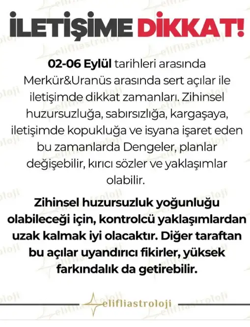 balık yeniayı (2).webp