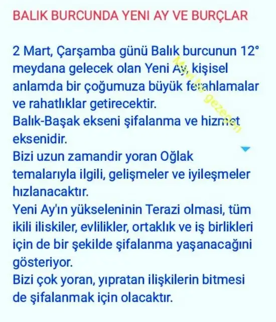 balık yeniayı 20 (1).webp