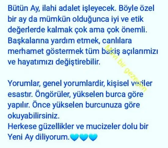 balık yeniayı 20 (10).webp