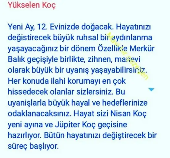 balık yeniayı 20 (11).webp