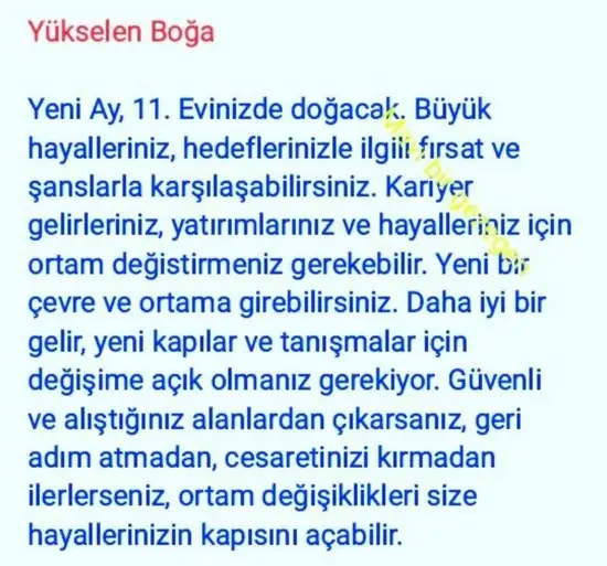 balık yeniayı 20 (12).webp