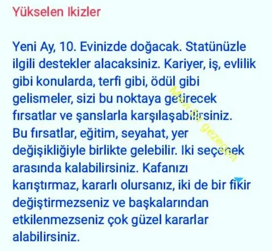 balık yeniayı 20 (13).webp