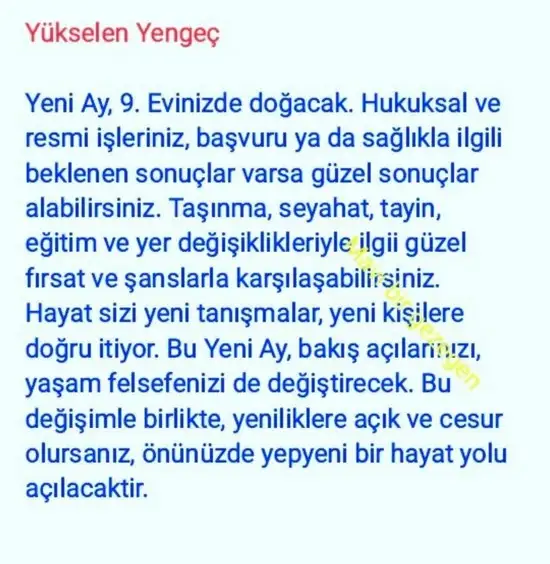 balık yeniayı 20 (14).webp