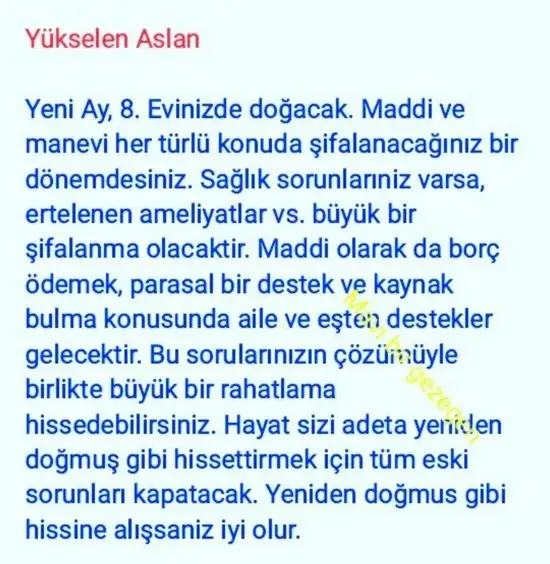 balık yeniayı 20 (15).webp