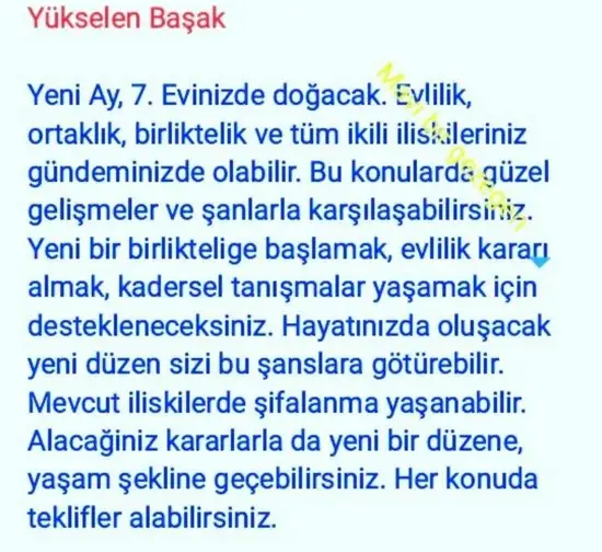 balık yeniayı 20 (16).webp