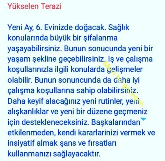 balık yeniayı 20 (17).webp