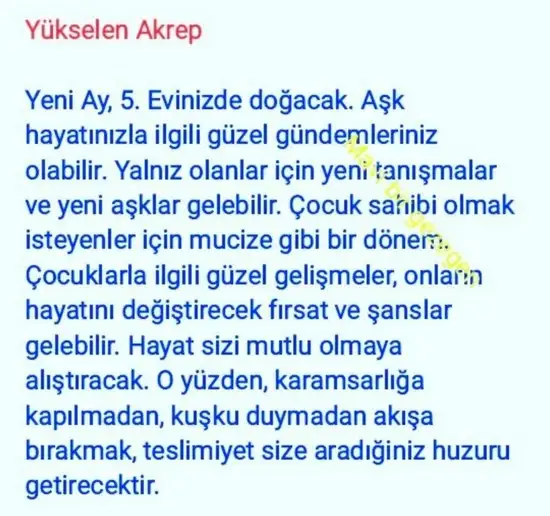 balık yeniayı 20 (18).webp