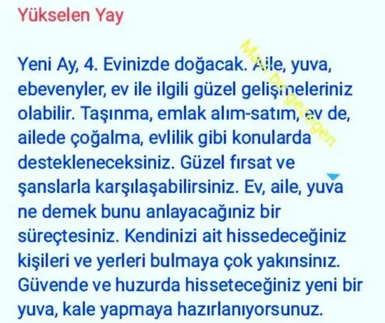 balık yeniayı 20 (19).webp