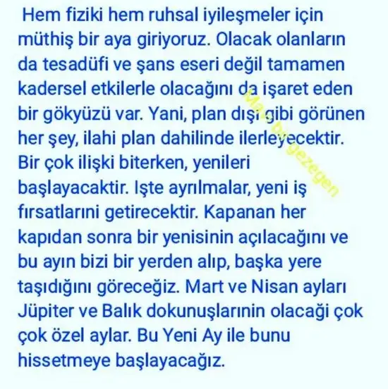 balık yeniayı 20 (2).webp