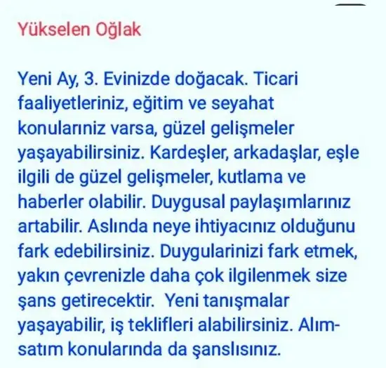 balık yeniayı 20 (20).webp