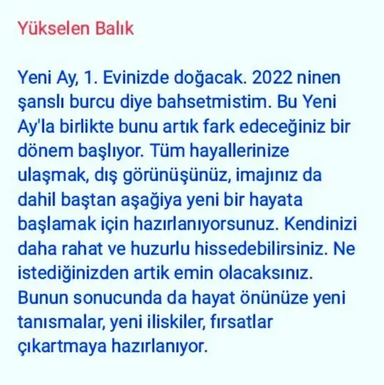 balık yeniayı 20 (22).webp