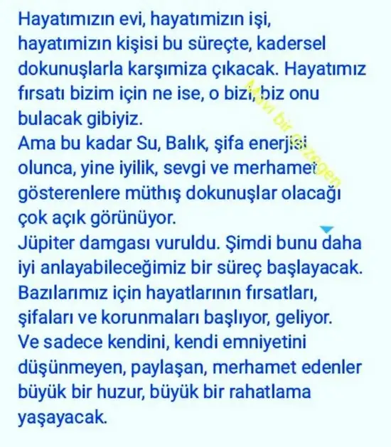 balık yeniayı 20 (3).webp