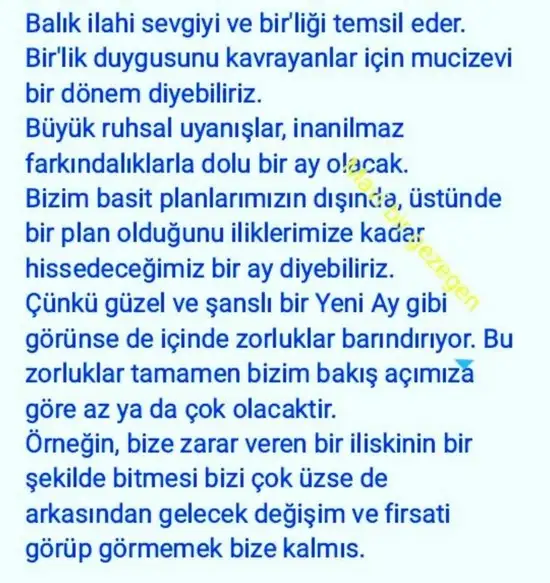 balık yeniayı 20 (4).webp