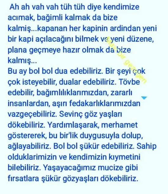 balık yeniayı 20 (6).webp