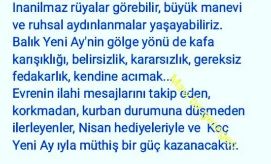balık yeniayı 20 (7).webp