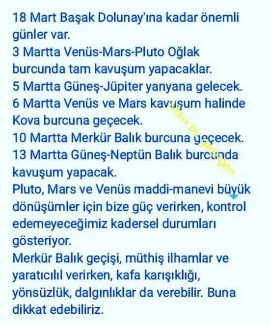 balık yeniayı 20 (9).webp