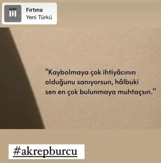 balık yeniayı 24 sibel mygl (8).webp