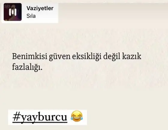 balık yeniayı 24 sibel mygl (9).webp
