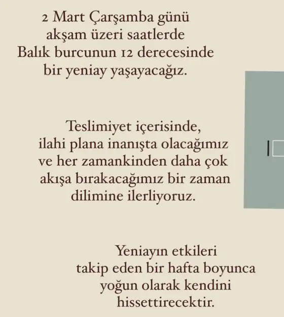 balık yeniayı 25 (1).webp