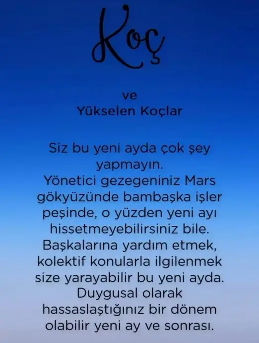 balık yeniayı 2b (1).webp