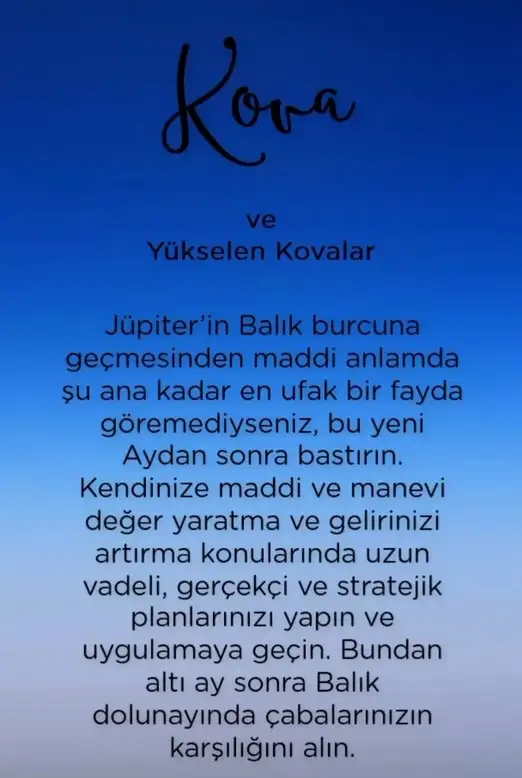 balık yeniayı 2b (11).webp